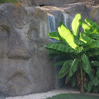 Photo de France - Le Jardin de Saint-Adrien : une oasis de verdure